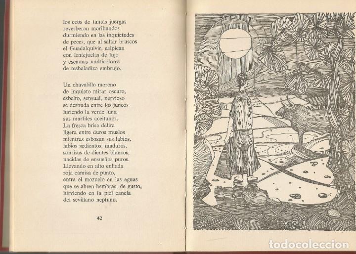 Libros de segunda mano: CANCIONES DE SOLEDAD-Federico Ced&oacute; - Foto 9