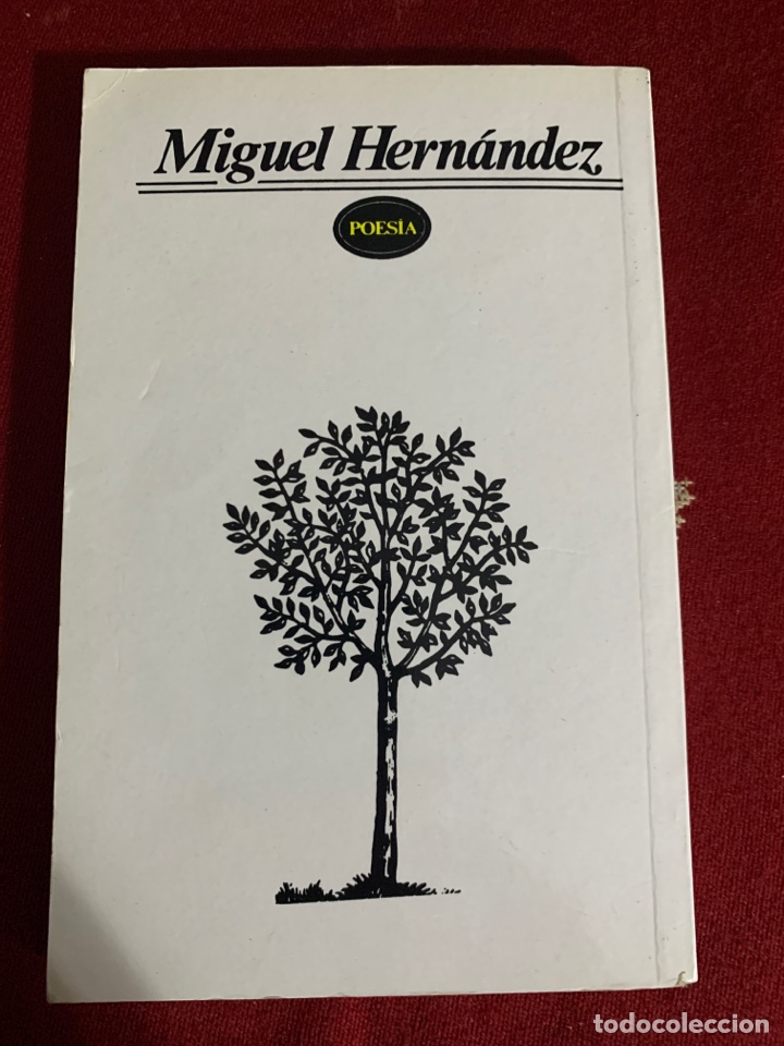 Libros de segunda mano: Poes&iacute;a. Miguel Hern&aacute;ndez. - Foto 2