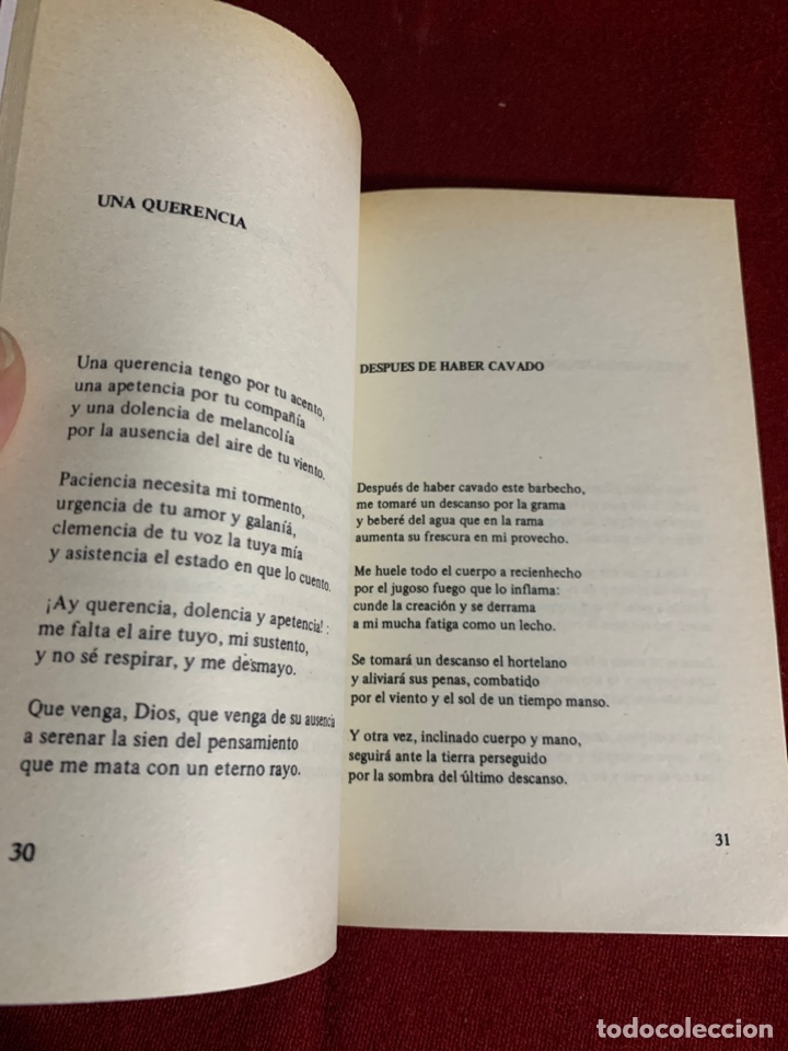 Libros de segunda mano: Poes&iacute;a. Miguel Hern&aacute;ndez. - Foto 9