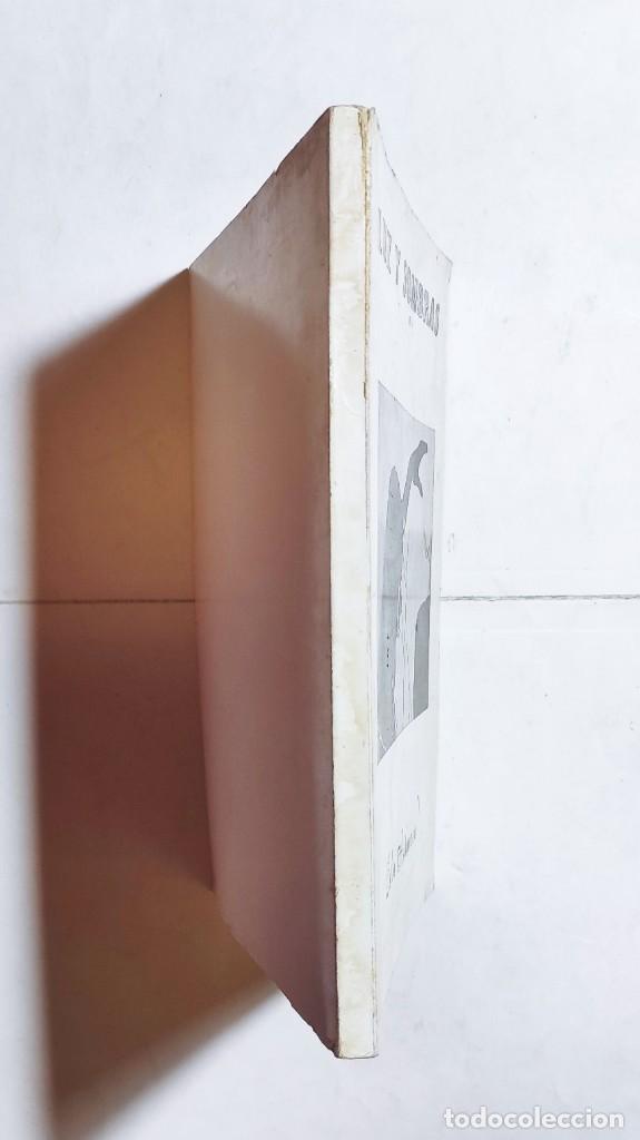 Libros de segunda mano: CELIA ASKANOVA. LUZ Y SOMBRAS. - Foto 3