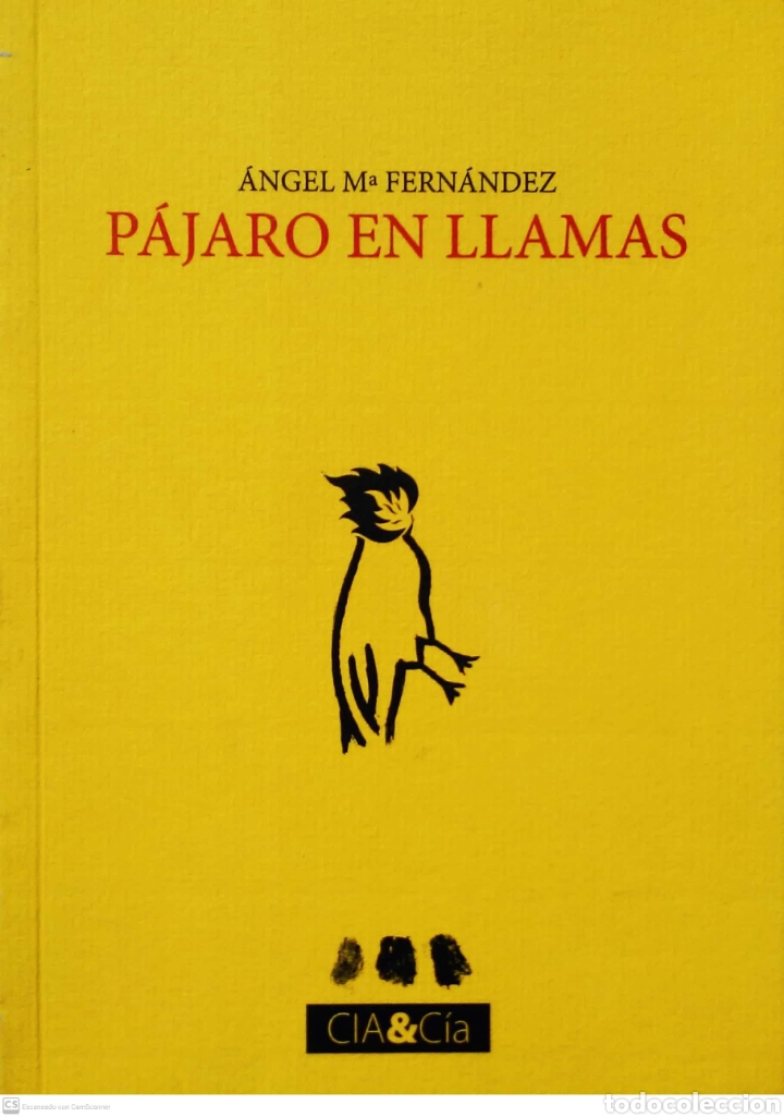 Gebrauchte B&uuml;cher: P&aacute;jaro en llamas. &Aacute;ngel Mar&iacute;a Fern&aacute;ndez. C&Iacute;A&C&Iacute;A. 2007.