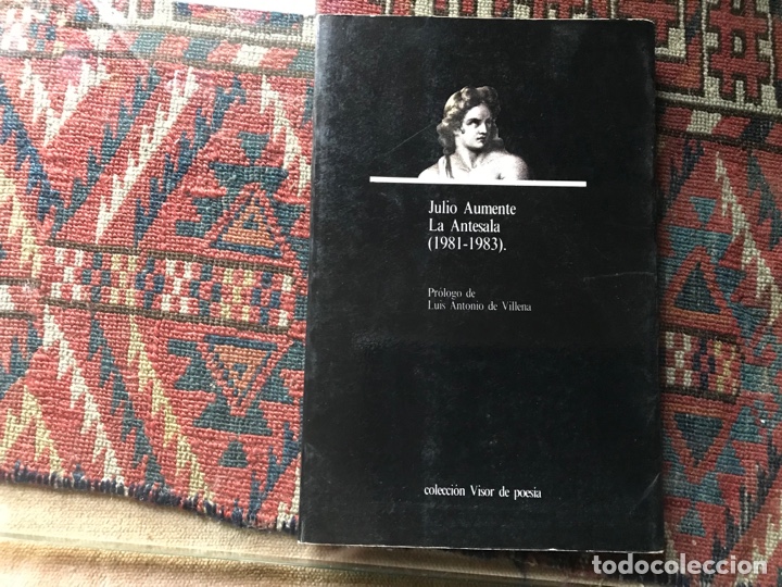 Libros de segunda mano: La antesala. Julio aumente. Visor - Foto 1