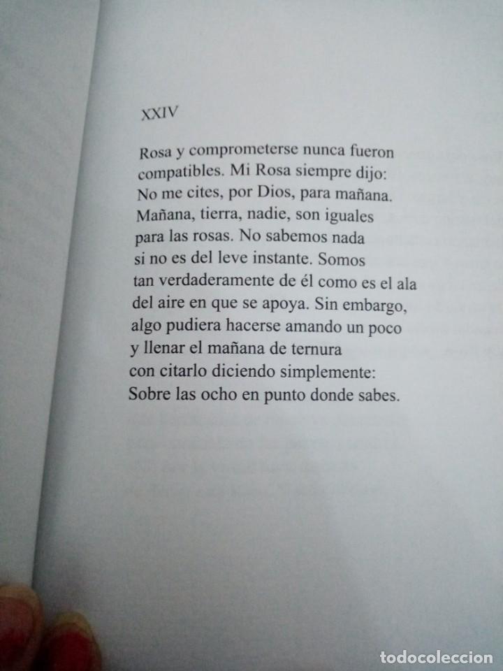 Libros de segunda mano: JOS&Eacute; ANTONIO MU&Ntilde;OZ ROJAS, VERSOS - Foto 2