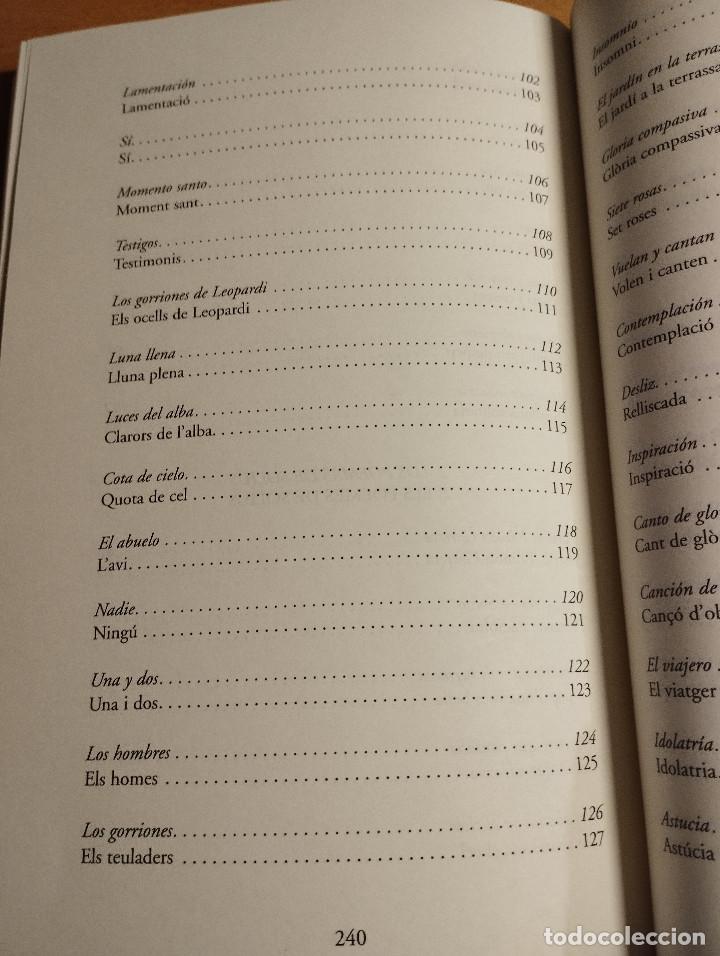 Libros de segunda mano: LESCALA DE JACOB (DIEGO SABIOTE) - Foto 6