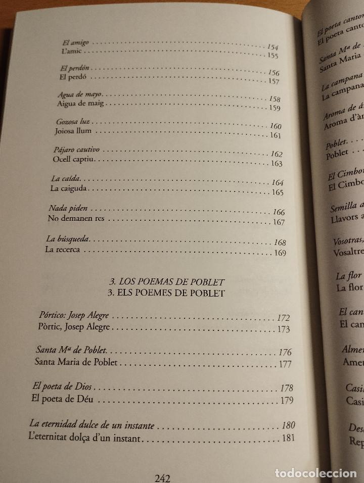 Libros de segunda mano: LESCALA DE JACOB (DIEGO SABIOTE) - Foto 8