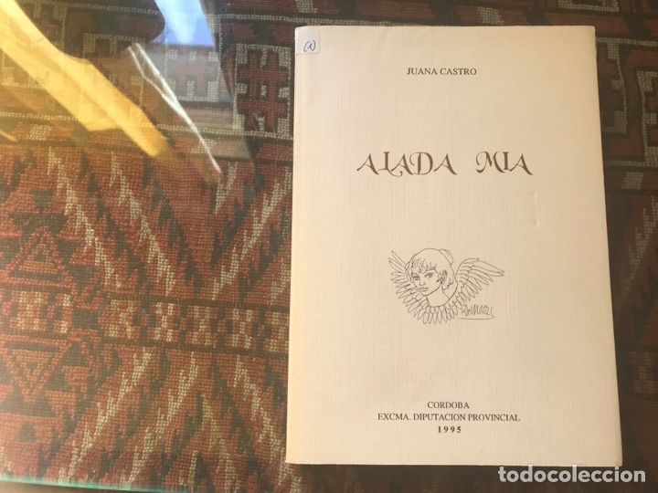 Libros de segunda mano: Alada m&iacute;a. Juana Castro - Foto 1