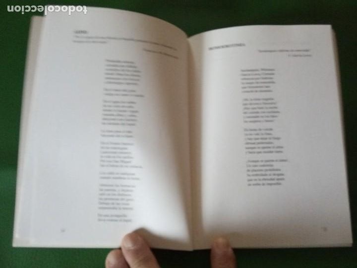 Libros de segunda mano: DONDE QUEMA LA CARNE - Brime, Astor. - Foto 3