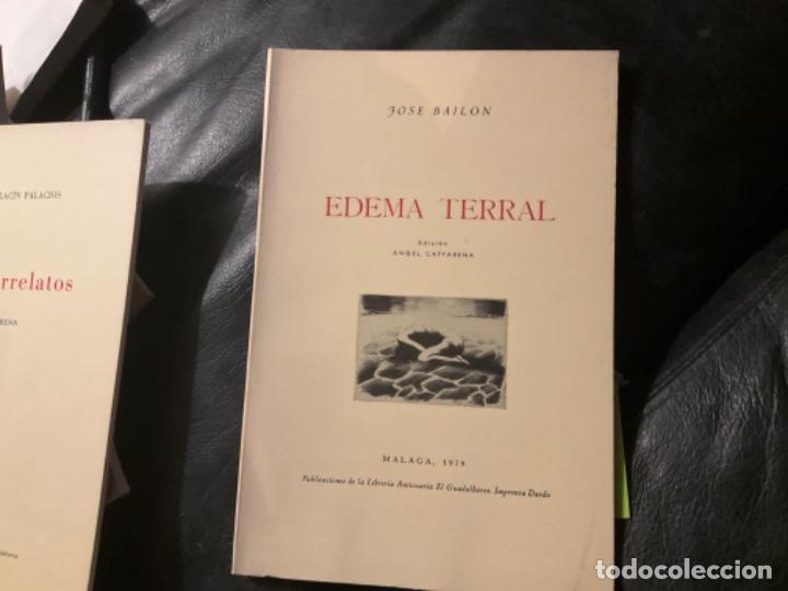 Gebrauchte B&uuml;cher: Jose Bailon edema terral