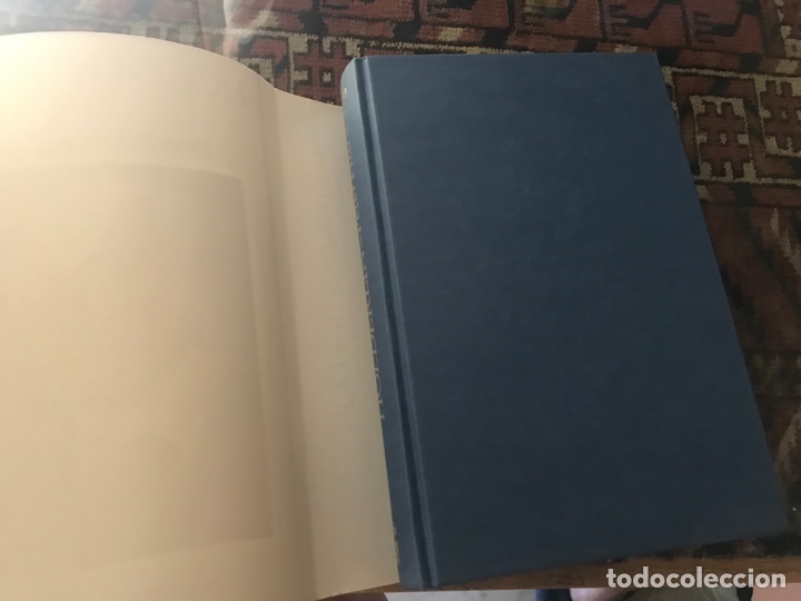 Libros de segunda mano: H&ouml;lderlin. Peter Hartling. Montesinos - Foto 3