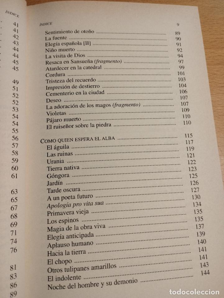 Libros de segunda mano: LUIS CERNUDA. ANTOLOG&Iacute;A PO&Eacute;TICA - Foto 5