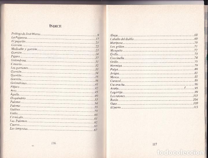 Libros de segunda mano: BESTIARIO - LUIS FERIA - Foto 2