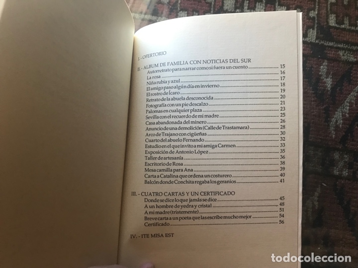 Libros de segunda mano: Ojal&aacute; el oto&ntilde;o. Teresa N&uacute;&ntilde;ez. &Aacute;nfora Nova n&ordm; 12. Como nuevo - Foto 2
