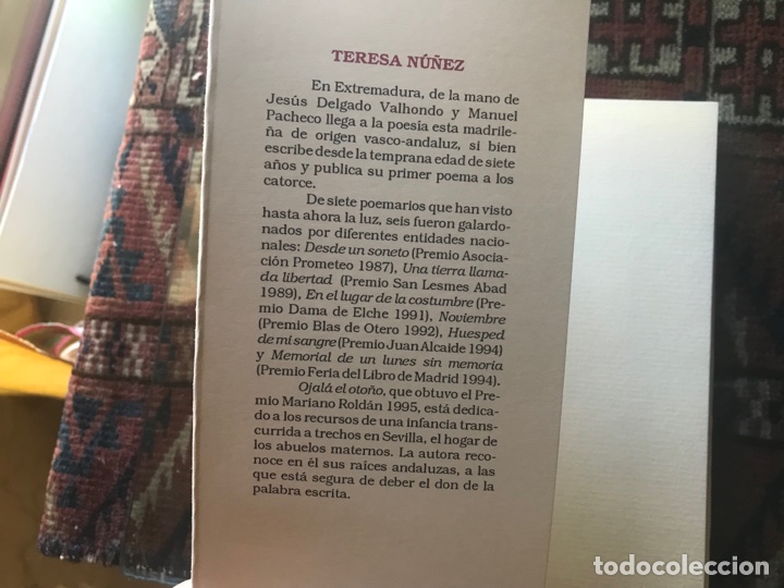 Libros de segunda mano: Ojal&aacute; el oto&ntilde;o. Teresa N&uacute;&ntilde;ez. &Aacute;nfora Nova n&ordm; 12. Como nuevo - Foto 3