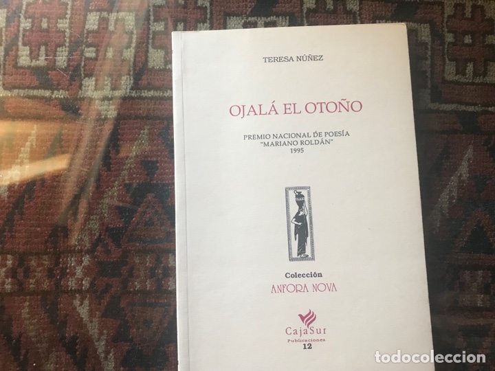Libros de segunda mano: Ojal&aacute; el oto&ntilde;o. Teresa N&uacute;&ntilde;ez. &Aacute;nfora Nova n&ordm; 12. Como nuevo - Foto 1