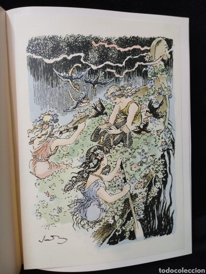 Libros de segunda mano: Canigo editorial ausa, ilustraciones Junceda - Foto 3