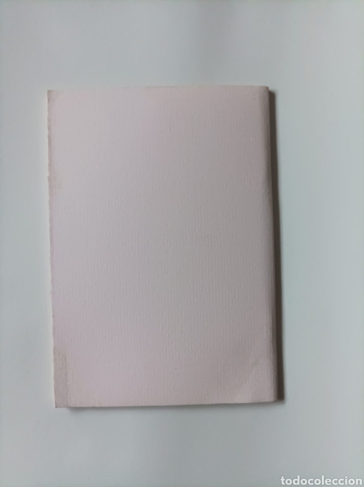 Libros de segunda mano: Estudis en Menor / Miquel de Palol - Foto 3