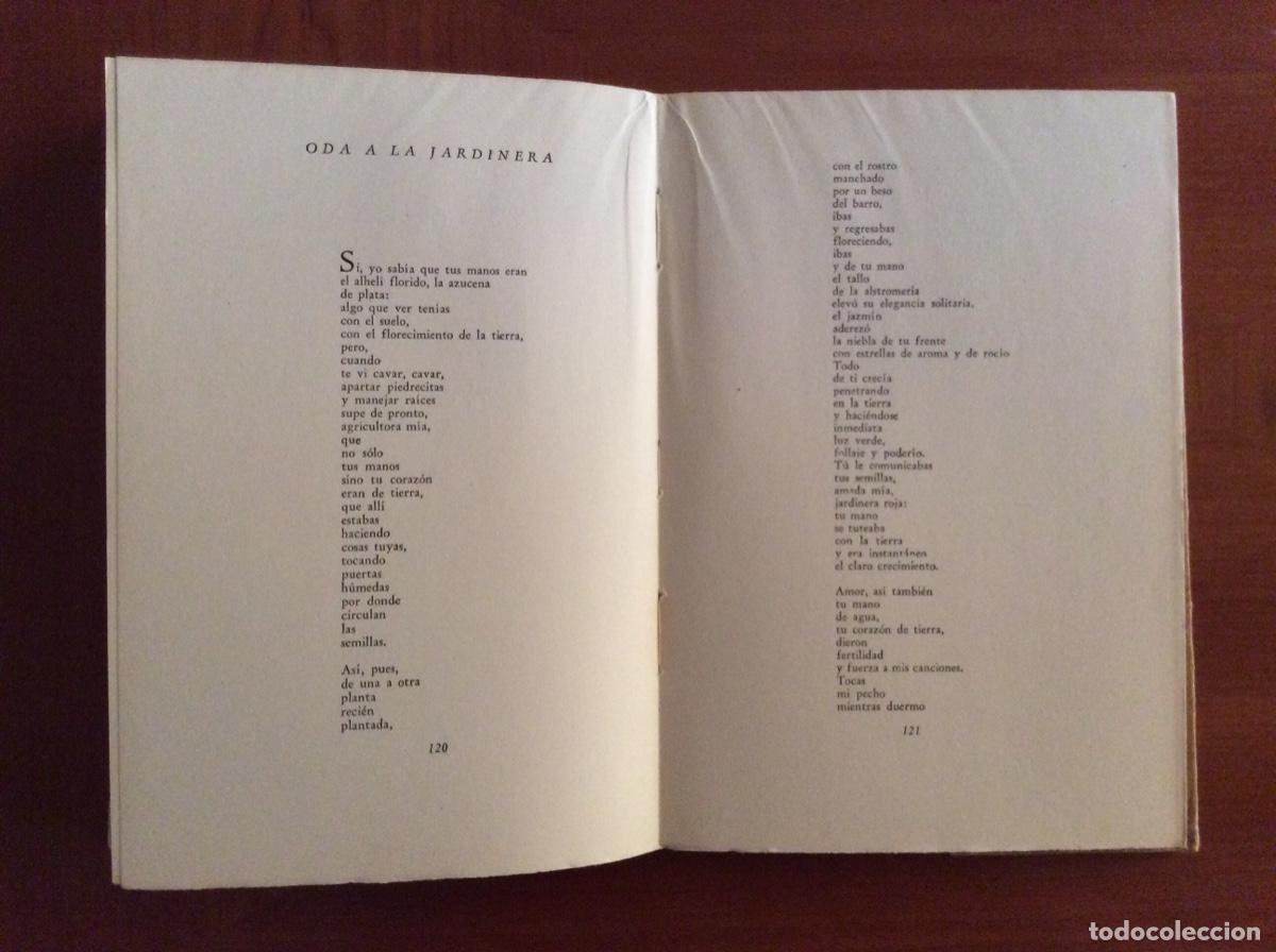 Libros de segunda mano: Pablo Neruda. Tercer libro de las odas. - Foto 6