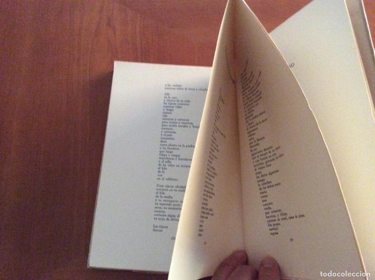 Libros de segunda mano: Pablo Neruda. Tercer libro de las odas. - Foto 7