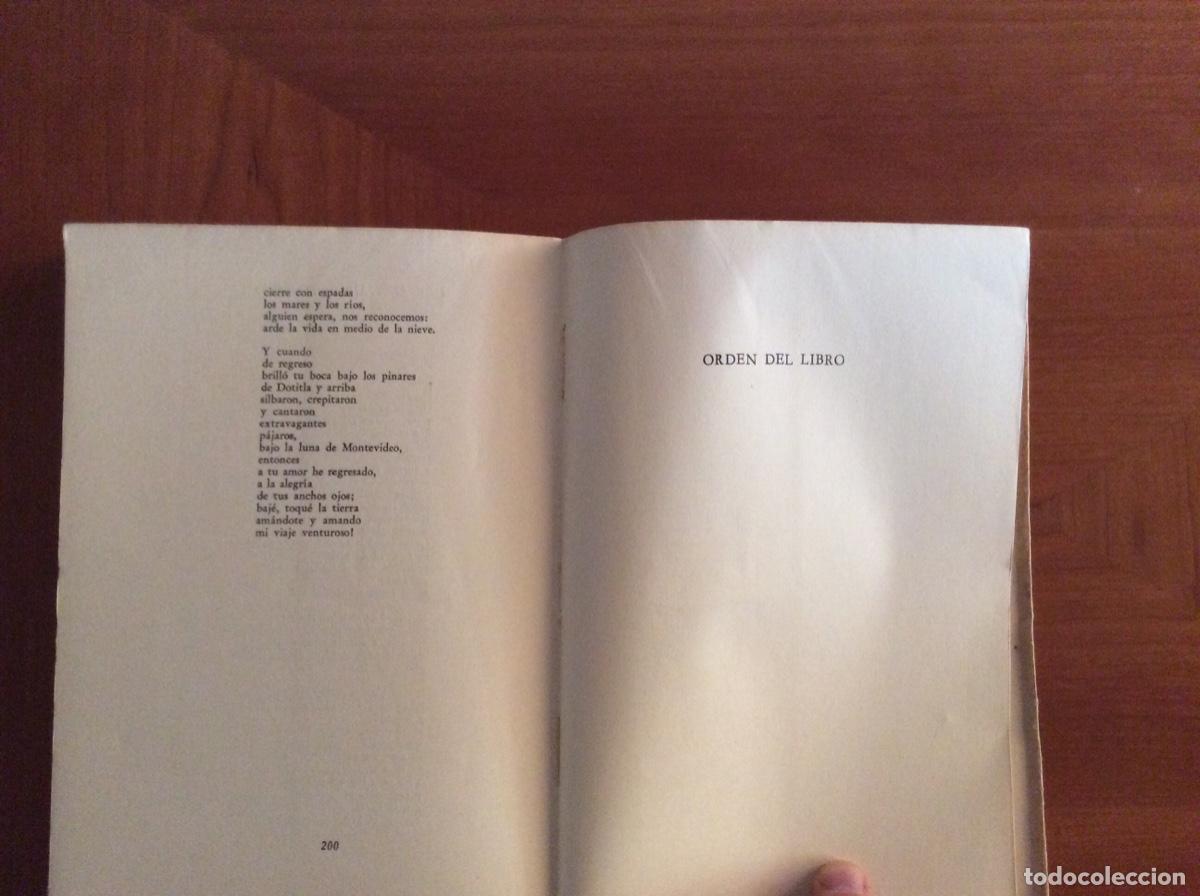 Libros de segunda mano: Pablo Neruda. Tercer libro de las odas. - Foto 8