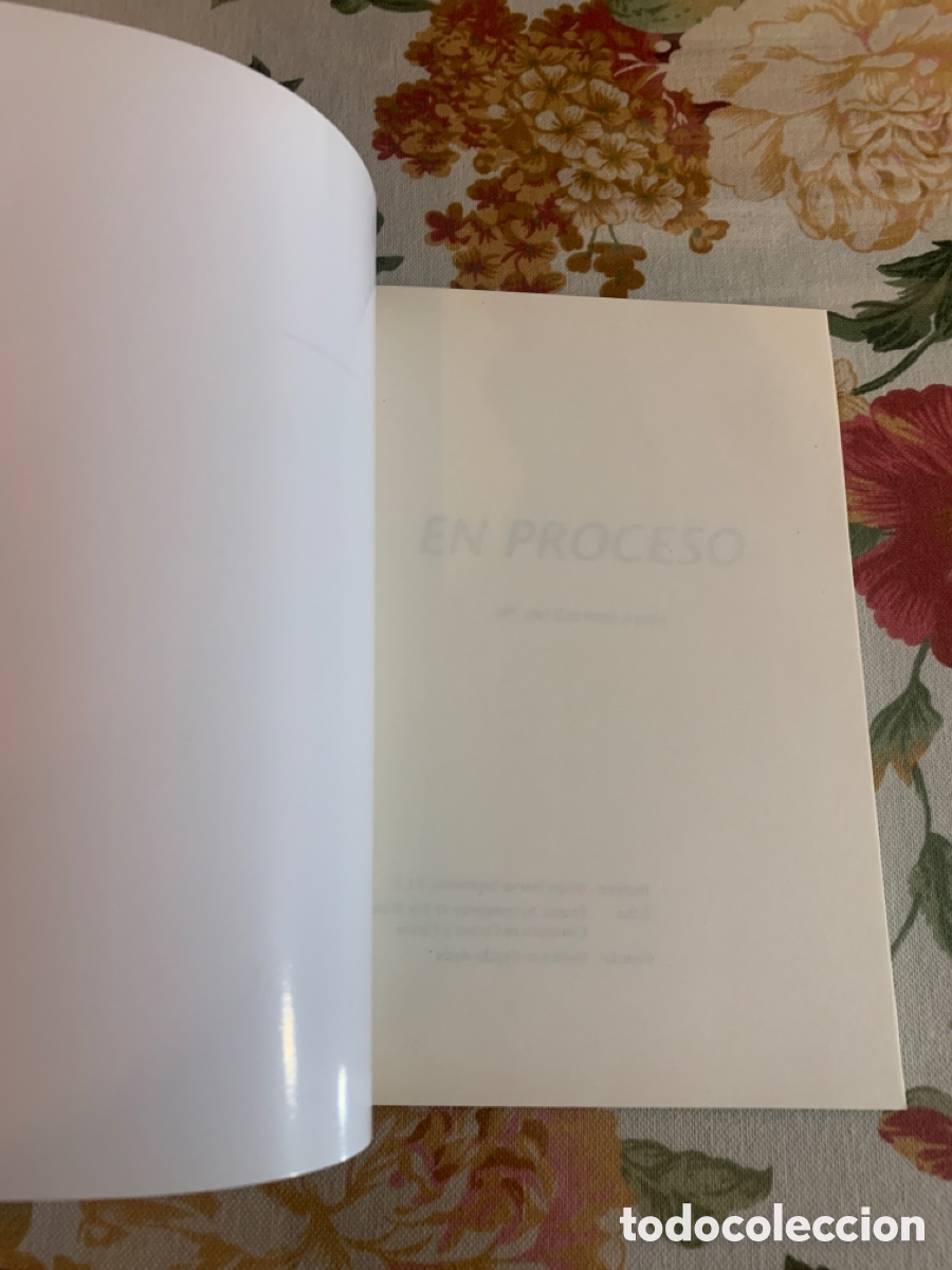 Libros de segunda mano: En proceso. Mar&iacute;a del Carmen Ayala. - Foto 3