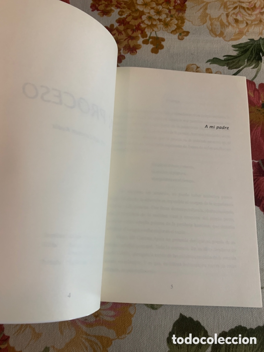 Libros de segunda mano: En proceso. Mar&iacute;a del Carmen Ayala. - Foto 5
