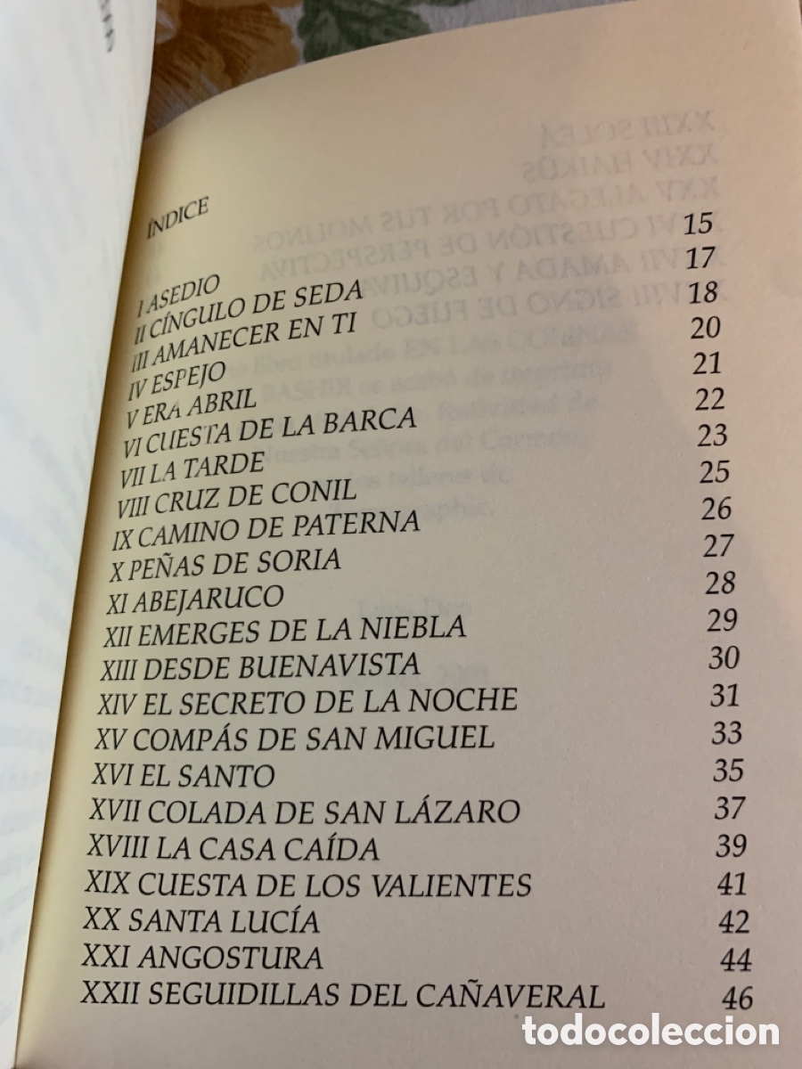 Libros de segunda mano: En las colinas de Bashir. Francisco Basallote. 2001. - Foto 6
