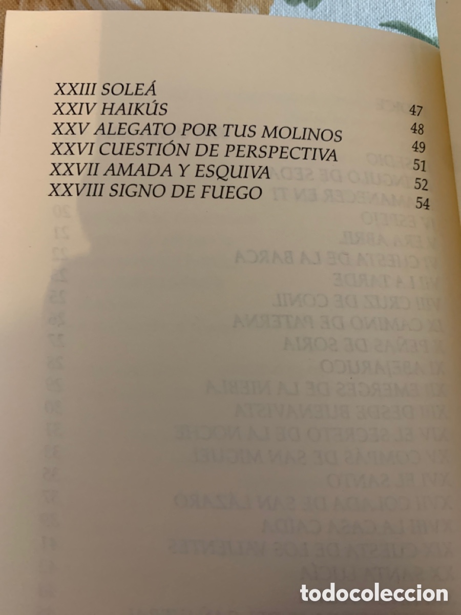 Libros de segunda mano: En las colinas de Bashir. Francisco Basallote. 2001. - Foto 7