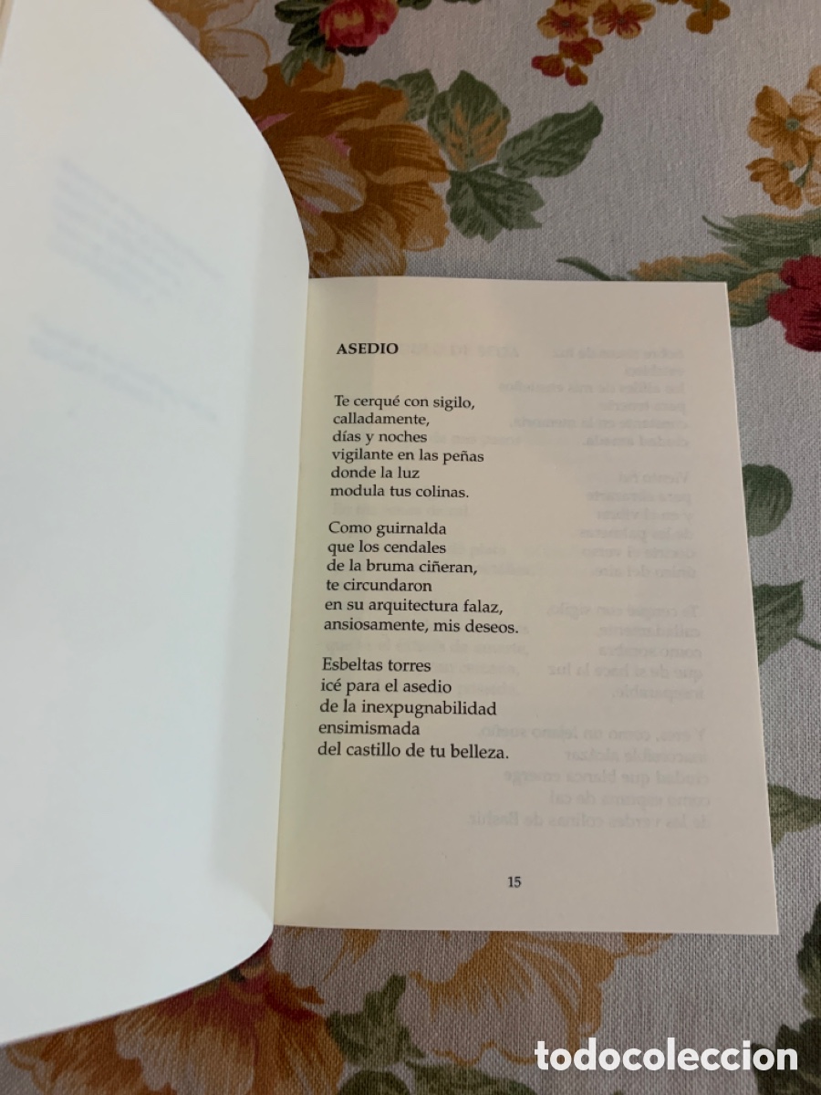 Libros de segunda mano: En las colinas de Bashir. Francisco Basallote. 2001. - Foto 8