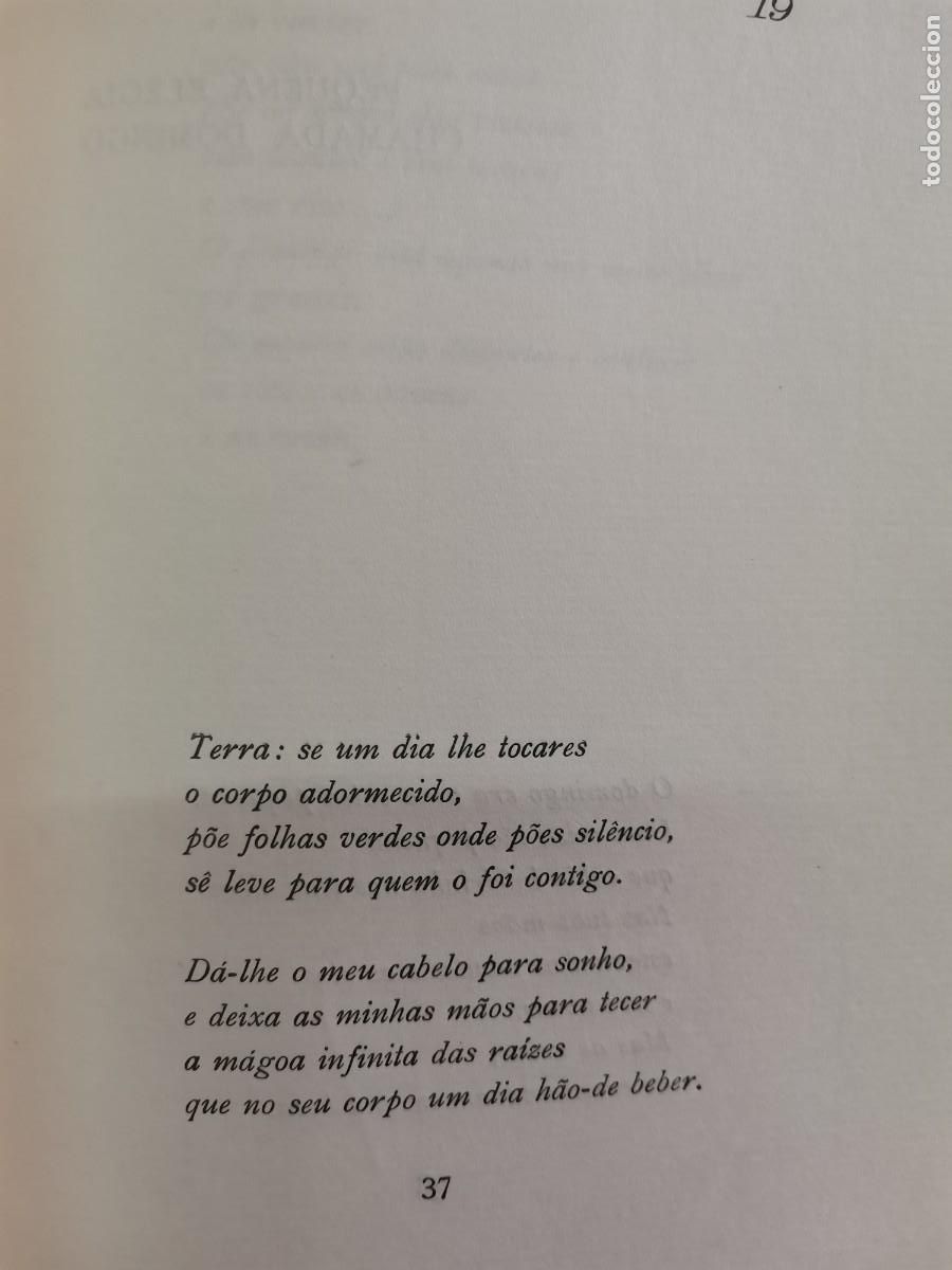 Libros de segunda mano: 1966 LIBRO EUGENIO DE ANDRADE POEMAS - Foto 4