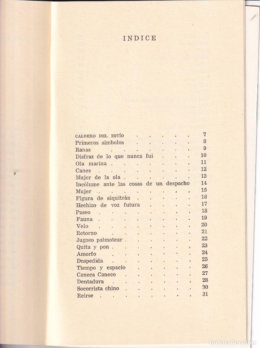 Libros de segunda mano: DESANGRE LIBELULAR ANONIMO - ROBERTO CABRERA - TENERIFE - Foto 2