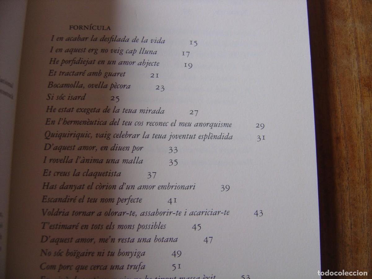 Libros de segunda mano: NADIR. LLU&Iacute;S RODA. EDITORIAL PROA. 2010 - Foto 4