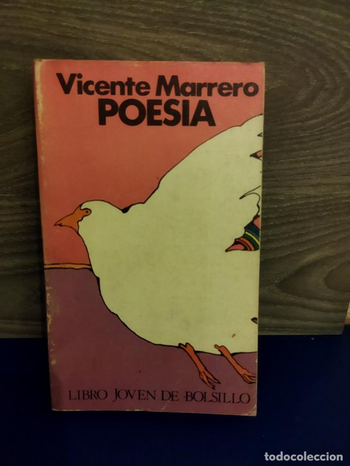 Libros de segunda mano: Poesia - Foto 1
