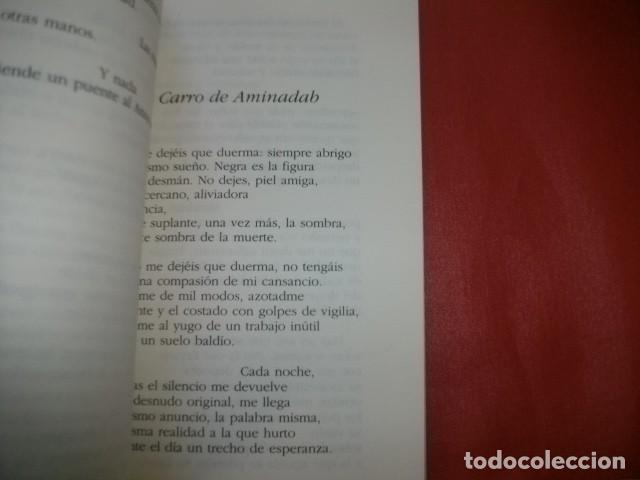 Libros de segunda mano: AMINADAB - ALFONSO CANALES - Foto 2