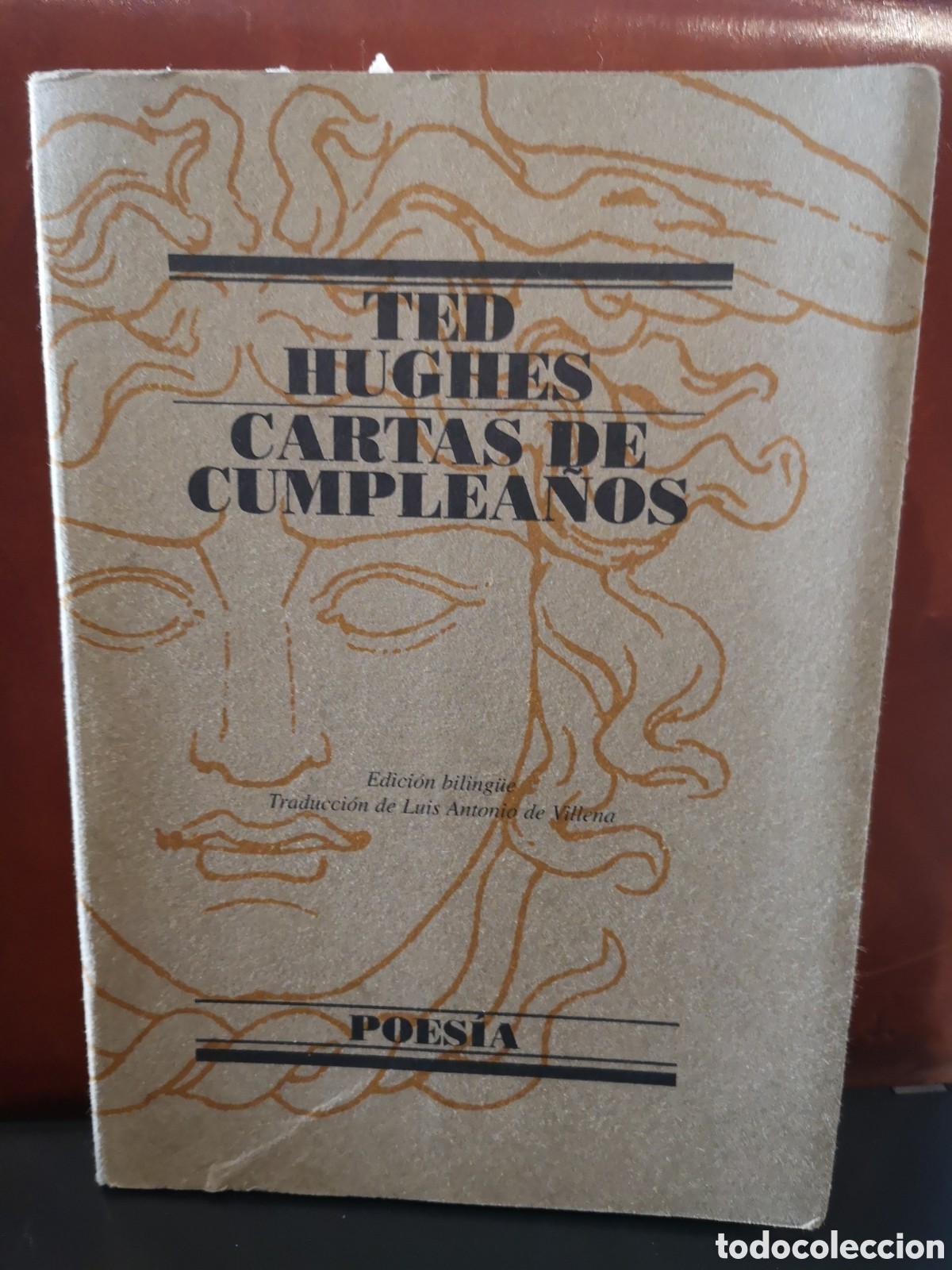 Libros de segunda mano: Cartas de cumplea&ntilde;os. Ted Hughes. - Foto 1