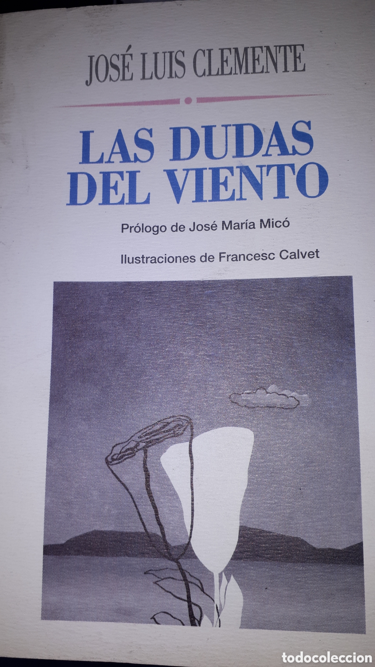 Libros de segunda mano: LAS DUDAS DEL VIENTO JOS&Eacute; LUIS CLEMENTE - Foto 1