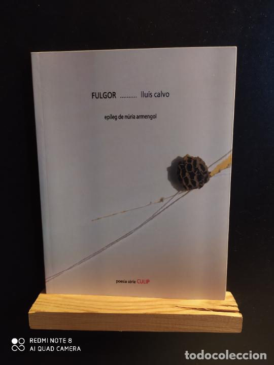 Libros de segunda mano: Fulgor.... Llu&iacute;s Calvo - Foto 1