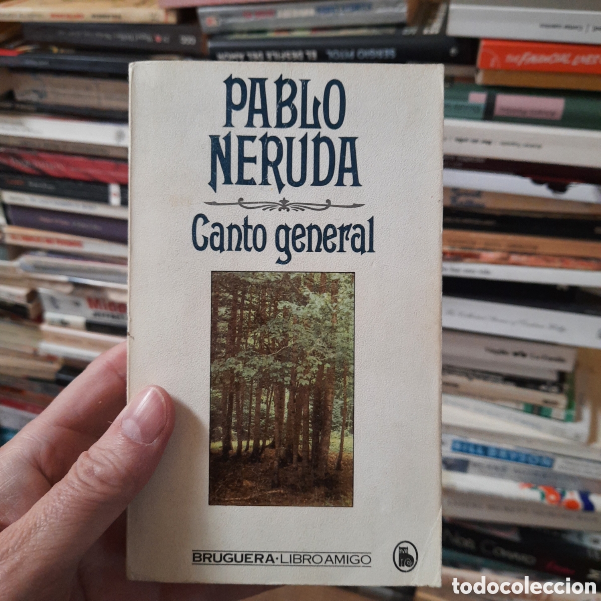 Libros de segunda mano: Canto general, Pablo Neruda - Foto 1