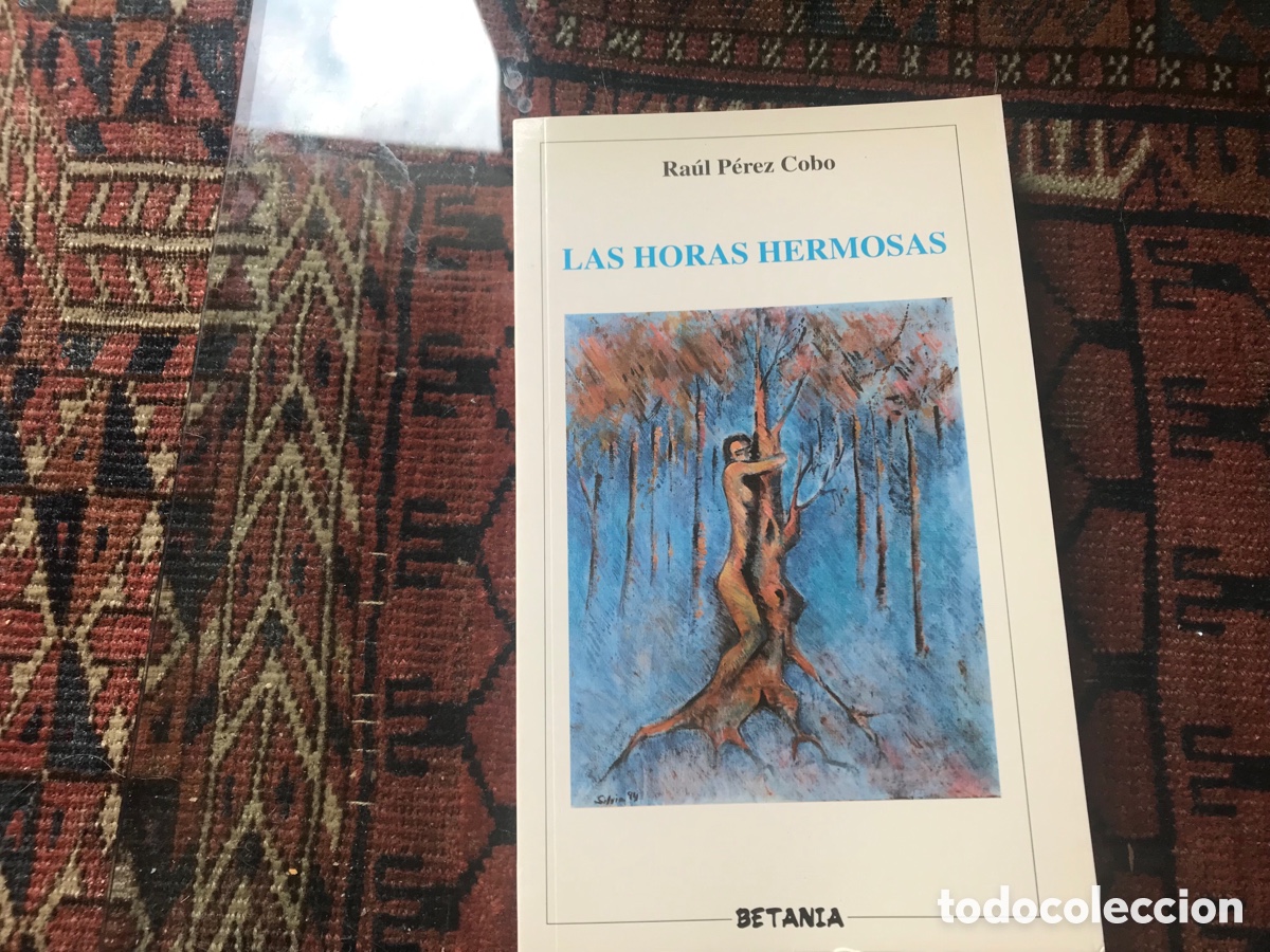 Libros de segunda mano: Las hiras hermosas Ra&uacute;l P&eacute;rez Cobo. Betania