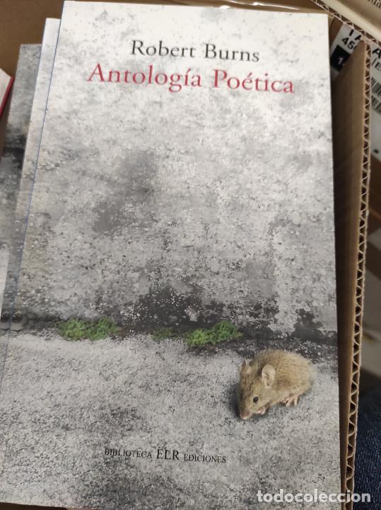 Libros de segunda mano: ANTOLOG&Iacute;A PO&Eacute;TICA (Edici&oacute;n Bling&uuml;e Ingl&eacute;s-Espa&ntilde;ol). - ROBERT BURNS