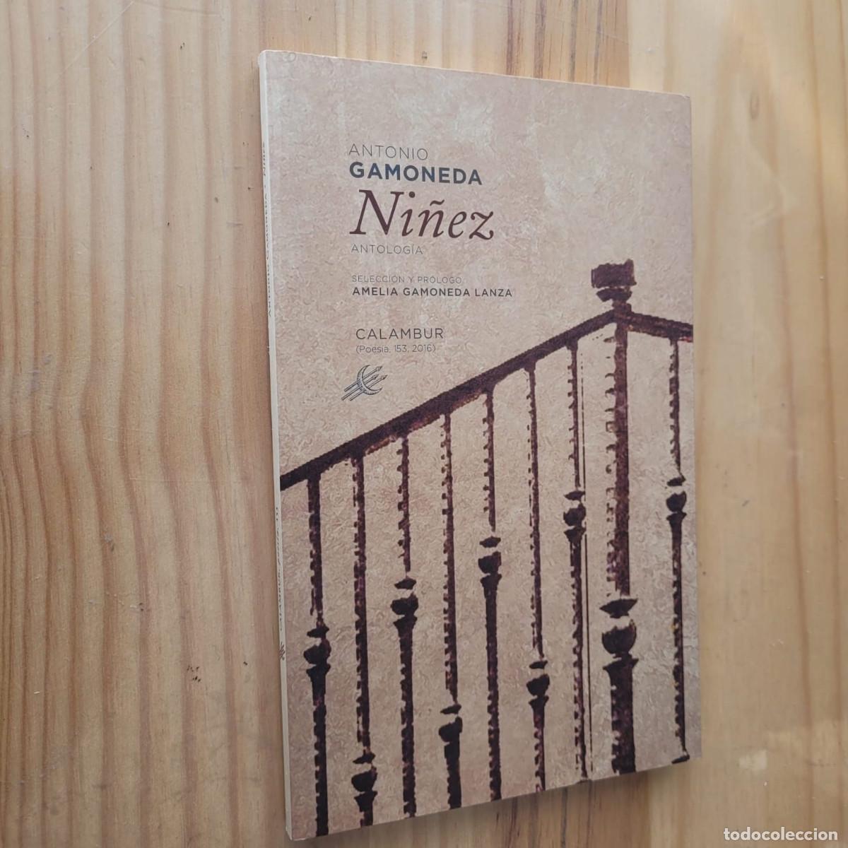 Libros de segunda mano: NI&Ntilde;EZ - ANTONIO GAMONEDA - Foto 1