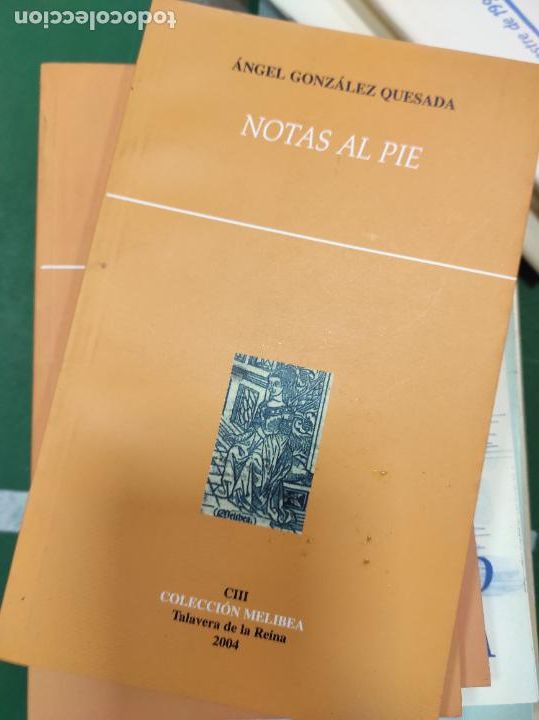 Libros de segunda mano: NOTAS AL PIE | ANGEL GONZALEZ QUESADA - Foto 1