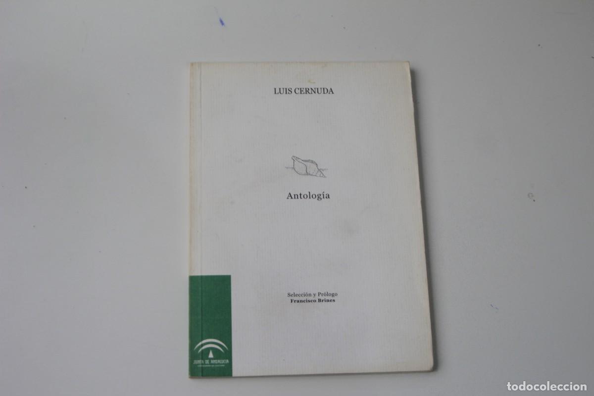 Libros de segunda mano: ANTOLOG&Iacute;A LUIS CERNUDA - Foto 1