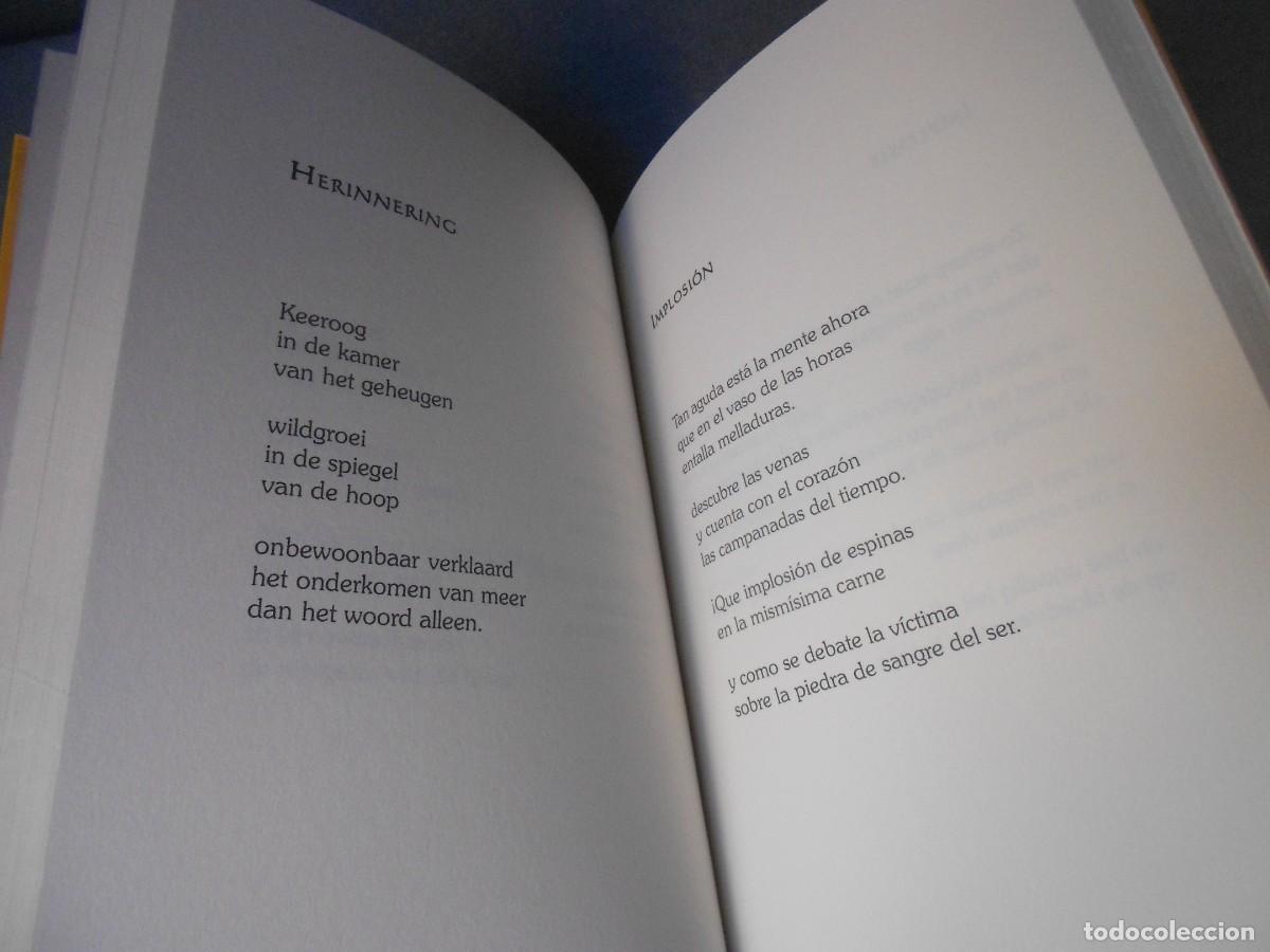 Libros de segunda mano: CONTRALUZ - TEGENLICHT - Foto 3