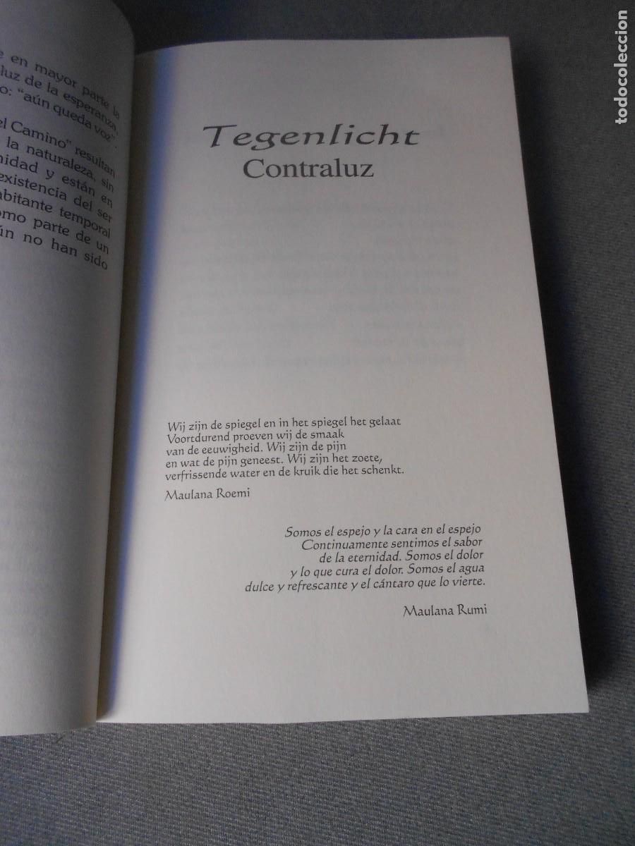Libros de segunda mano: CONTRALUZ - TEGENLICHT - Foto 5