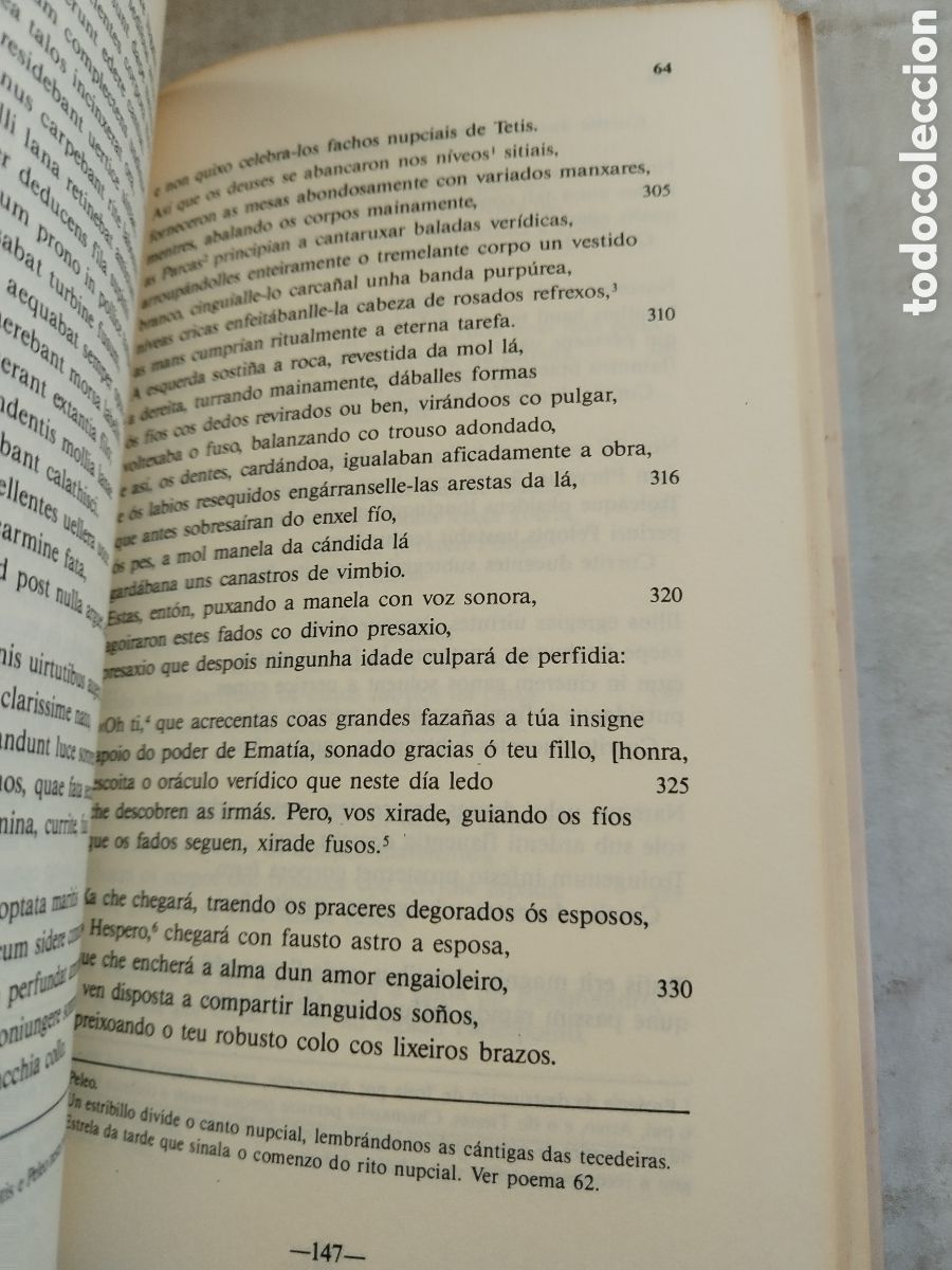 Libros de segunda mano: CATULO/POEMAS (GALLEGO) - Foto 4