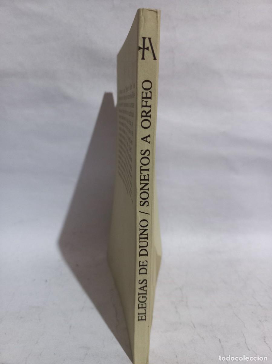 Libros de segunda mano: Rainer Maria Rilke - Eleg&iacute;as de Duino y Sonetos de Orfeo - Primera edici&oacute;n - 1985 - Foto 2