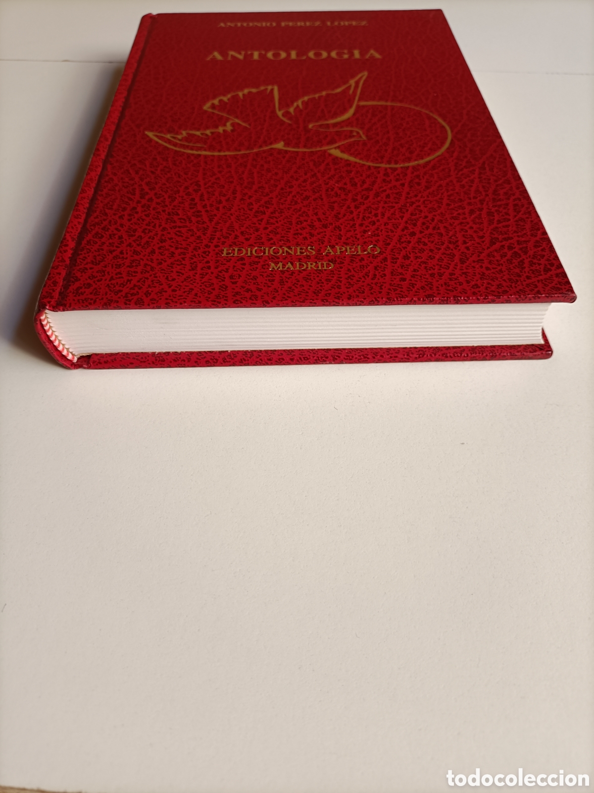 Libros de segunda mano: Antolog&iacute;a. Antonio P&eacute;rez L&oacute;pez. Ediciones Apelo - Foto 3