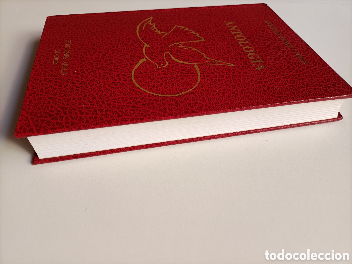 Libros de segunda mano: Antolog&iacute;a. Antonio P&eacute;rez L&oacute;pez. Ediciones Apelo - Foto 5