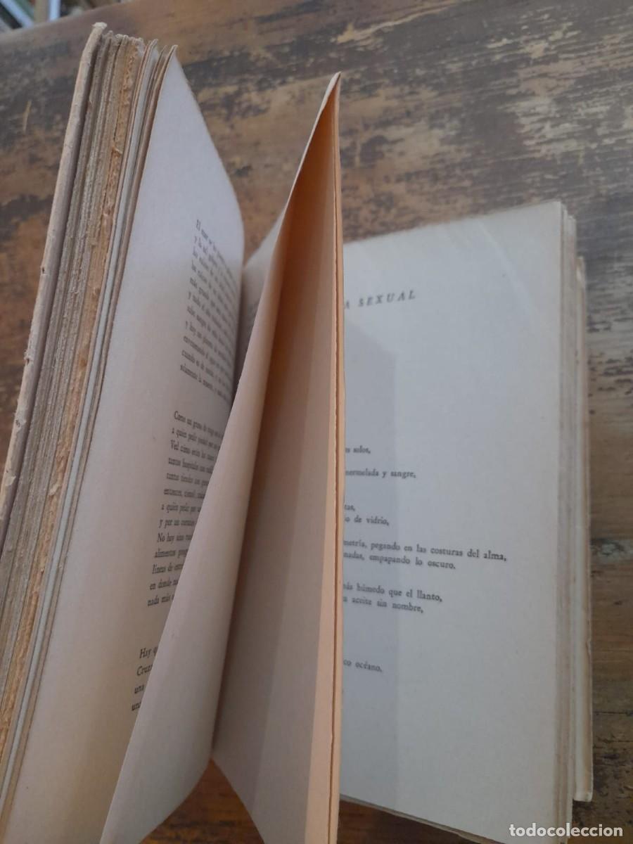 Libros de segunda mano: Residencia en la Tierra, Pablo Neruda - Foto 4