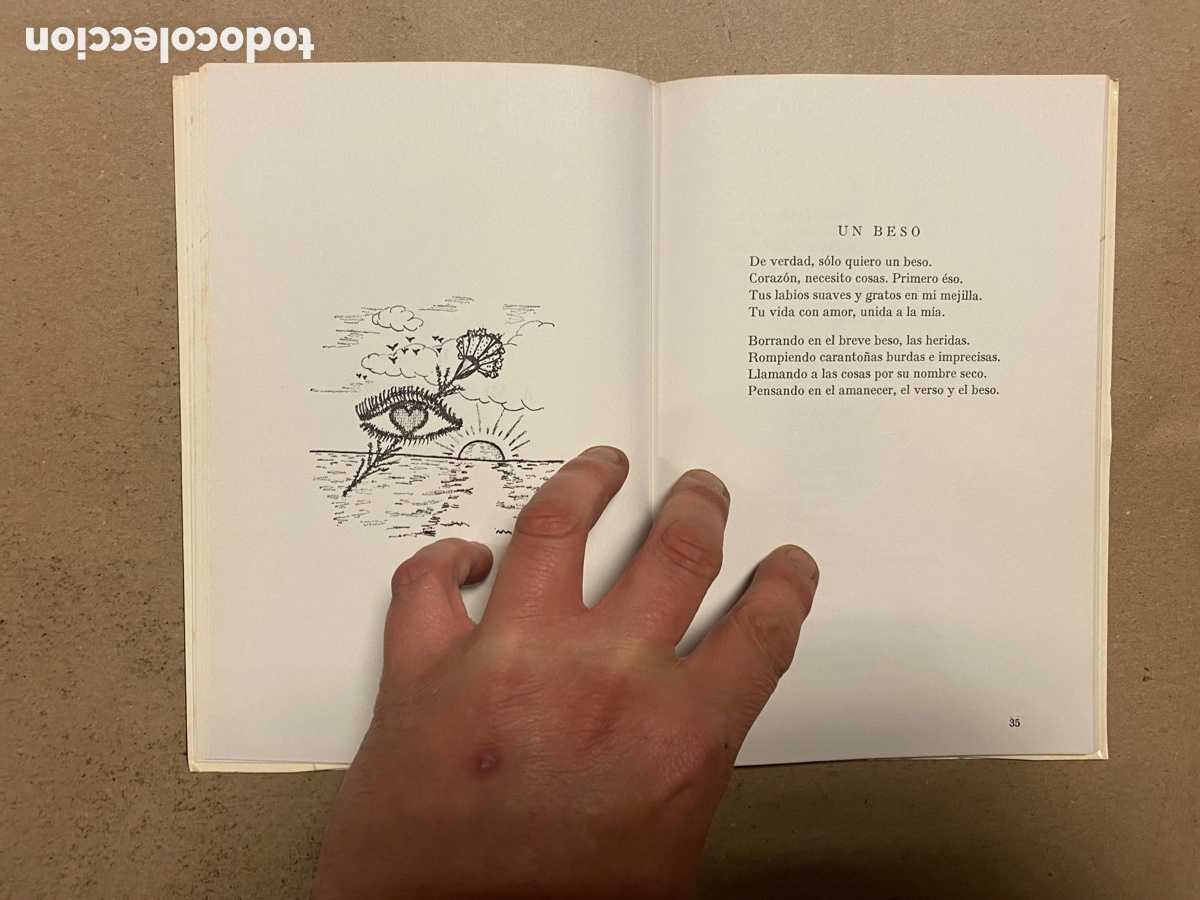 Libros de segunda mano: DESHOJANDO UN SUE&Ntilde;O. JOS&Eacute; LUIS IBARG&Uuml;ENGOITIA. - Foto 5